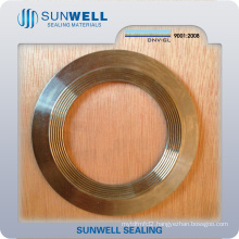 Serrated Gaskets Kammprofile Gaskets with Outer Ring